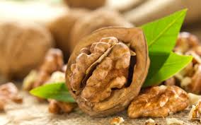 walnut ile ilgili görsel sonucu