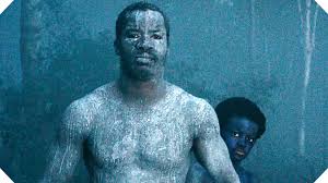 Image result for birth of a nation 2016