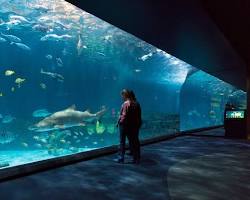 Gambar North Carolina Aquarium on Roanoke Island