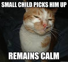 No-Pain-in-the-Butt Cat Memes (20 pics) - Izismile.com via Relatably.com