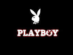 Image result for white rabbit playboy