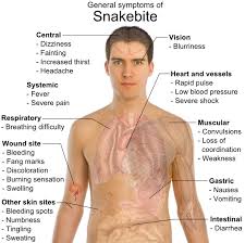 Image result for snake bite drug