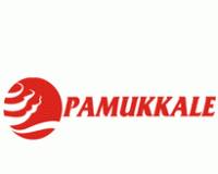 Pamukkale Turizm logo resmi