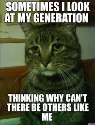 Memes Vault Depressed Cat Memes via Relatably.com