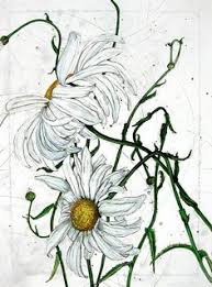 Image result for daisies drawing