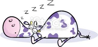 Image result for sleeping cow