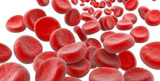 kan hastalıkları,hemofili ile ilgili görsel sonucu