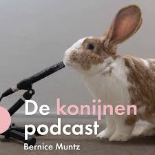 De konijnenpodcast