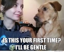 Best Of The Brutally Honest Dog – Meme | WeKnowMemes via Relatably.com
