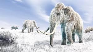 Image result for the ice age