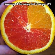 FunniestMemes.com - Funniest Memes - [Percentage Of This Orange ... via Relatably.com