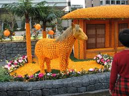 Kolkata's Orange Festival to promote Darjeeling oranges