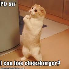 Image result for national cheeseburger day