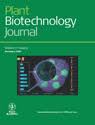 Molecular cloning and characterization of a KCS gene from ...
