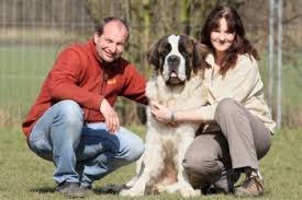 HUNDEDIMENSIONEN | Schule für Hunde - Claudia Kirsten