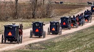 Image result for amish