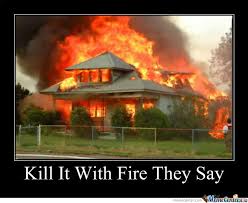 Kill It With Fire by turnandfall - Meme Center via Relatably.com
