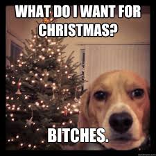 December | 2014 | The Dog Snobs via Relatably.com