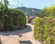 청산도 상서마을 돌담길, AI로 생성