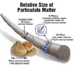 「particulate matter」的圖片搜尋結果