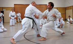 karate-toni dietl 5. dan meister - Bild \u0026amp; Foto von Karl Kovacs aus ... - karate-toni-dietl-5-dan-meister-248ecfc9-d2c2-4aae-a3ac-e4ecc52338ec