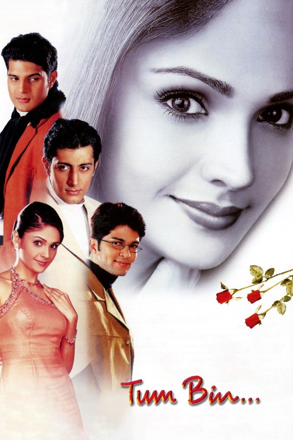 Download Tum Bin (2001) Hindi Full Movie 480p | 720p | 1080p