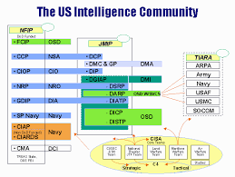 Image result for Millitary Intelligence Org