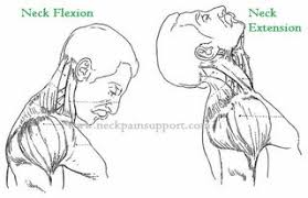 Image result for neck extension clean pulls