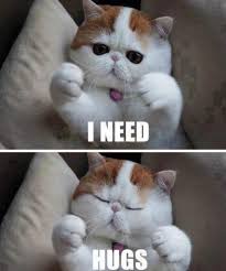 cute cat meme | Tumblr via Relatably.com
