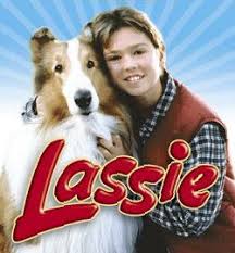 Image result for images of the new lassie