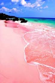 Image result for pink beach flores island