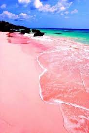 Image result for pink beach flores island