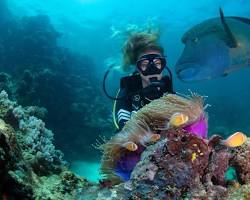 Great Barrier Reef travel experience