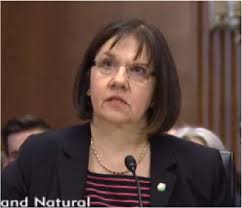 Cheryl LaFleur, acting chair, FERC. LaFleur said that the presentation was created in early 2013 and should have been classified at the secret level or ... - Acting-Chair-Cherl-LaFleur-FERC