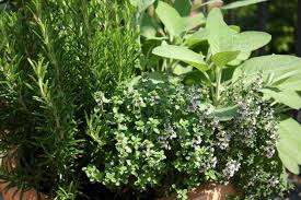 Greatest 11 celebrated quotes about fresh herbs pic German ... via Relatably.com