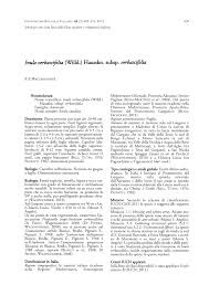 (PDF) Inula verbascifolia (Willd.) Hausskn. subsp. verbascifolia. In ...