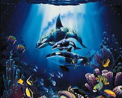Image of Primary school wallpaper with underwater scene