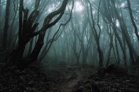 Dark Echo Forest Images?q=tbn:ANd9GcSdMbJwJ6nqS9ZsFsL717aZwMVrjp7RHuXeegZ2vYSLlpiXobFdgQ
