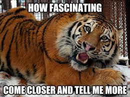 Fascinated Tiger memes | quickmeme via Relatably.com