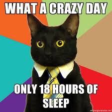 what a crazy day only 18 hours of sleep - Business Cat | Meme ... via Relatably.com