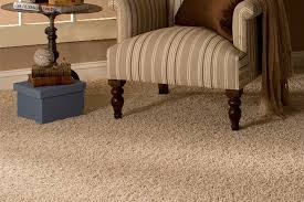 Image result for Frieze Carpets