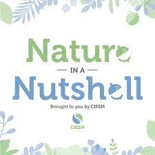 Nature In A Nutshell