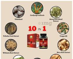 Maca root herb for erectile dysfunction
