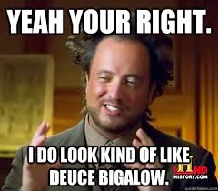 Yeah your right. I do look kind of like Deuce Bigalow. - Misc ... via Relatably.com