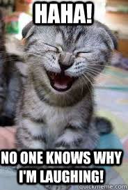 Laughing Cat memes | quickmeme via Relatably.com