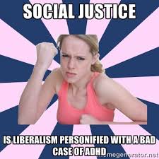Image result for social justice warrior common core