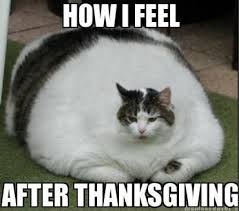 Fat Cat Meme | Fat Cat Meme: How I Feel After Thanksgiving | My ... via Relatably.com