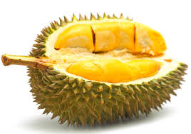 Image result for durian