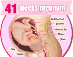 41-weeks-pregnant-feeling-overdue - YourBabyLibrary via Relatably.com