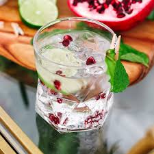 Low-Calorie Pomegranate and Mint Gin Cocktail Recipe - Life of Alley
